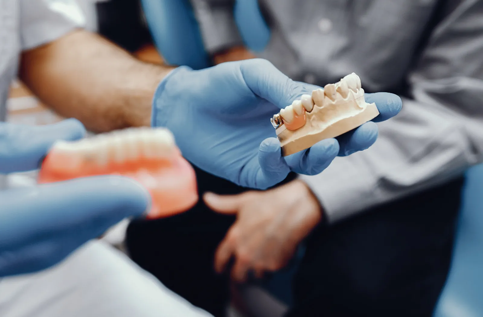 Dentist holding dental crown and bridge models