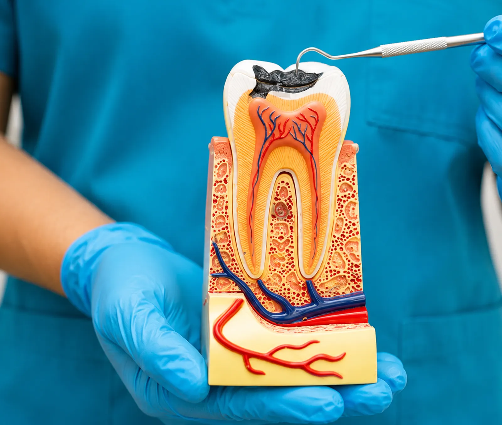Dentist examining a patient's teeth